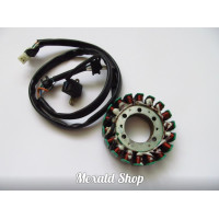 Stator of the Yamaha XV 250 generator, Lifan LF250, QJ 250-H