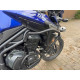 Triumph Tiger 1200 EX Upper Protective Bars